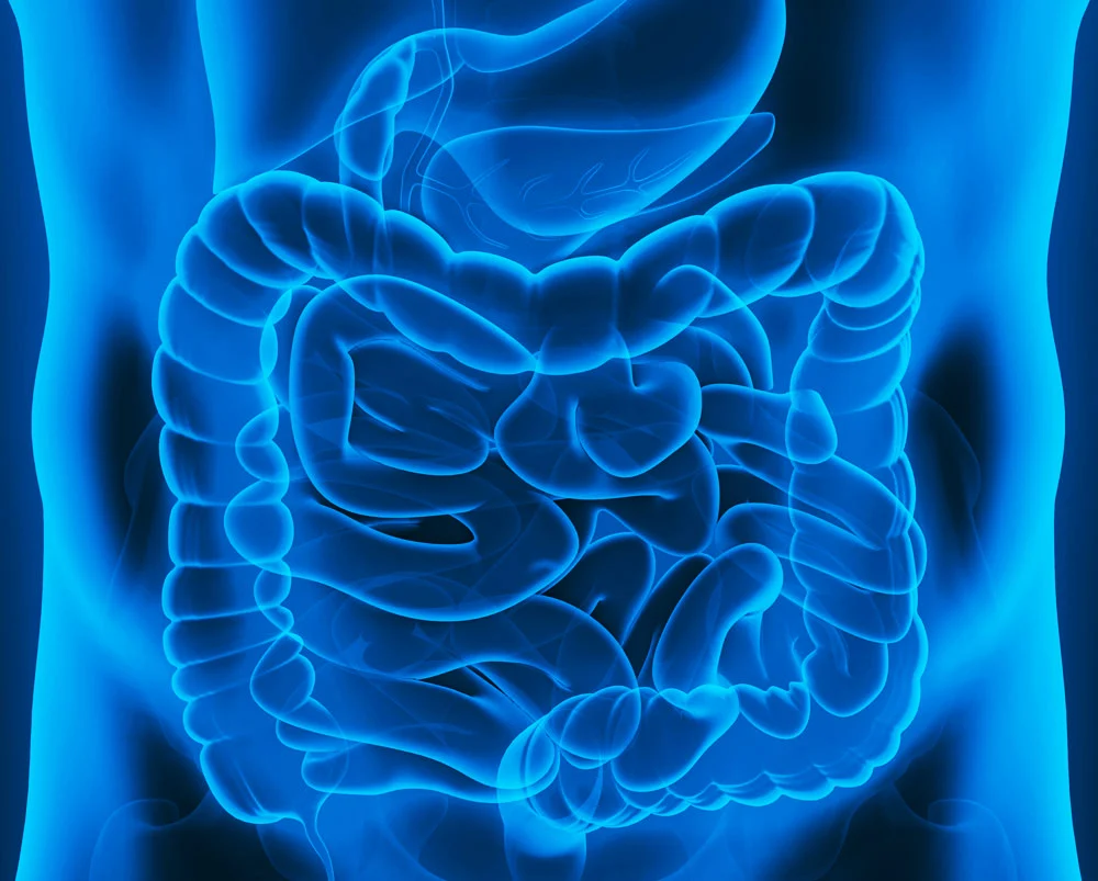 Gastroenterology